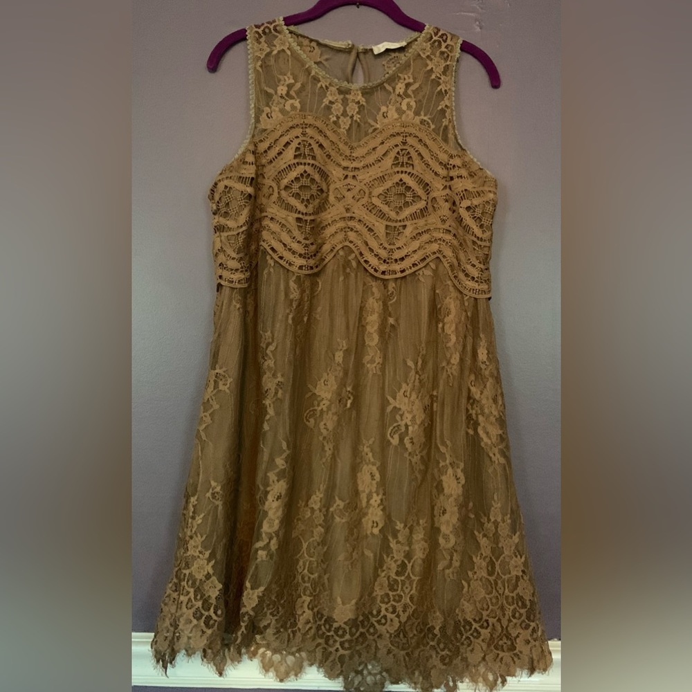 Taupe Lace Dress (Never Worn)